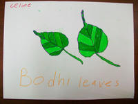 bodhi_002